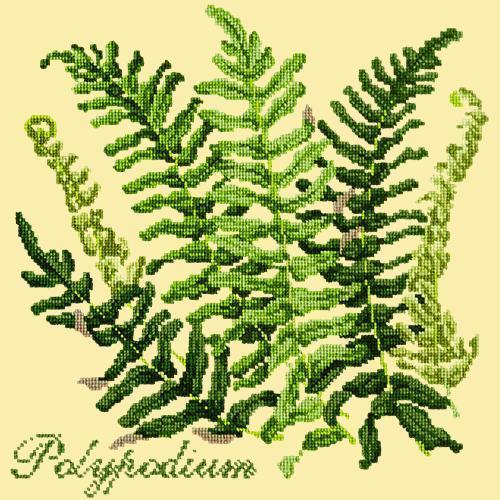 Polypodium Needlepoint Kit Elizabeth Bradley Design Butter Yellow 