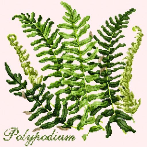 Polypodium Needlepoint Kit Elizabeth Bradley Design 