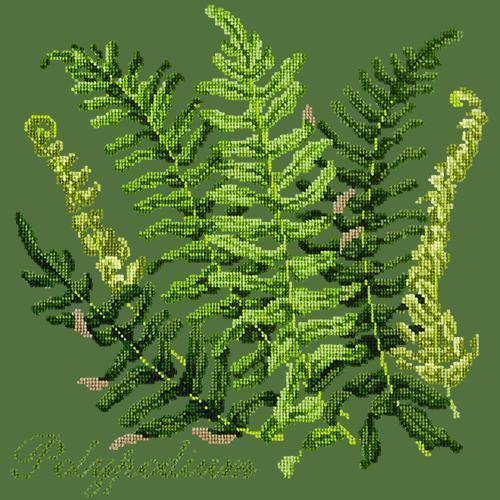 Polypodium Needlepoint Kit Elizabeth Bradley Design Dark Green 