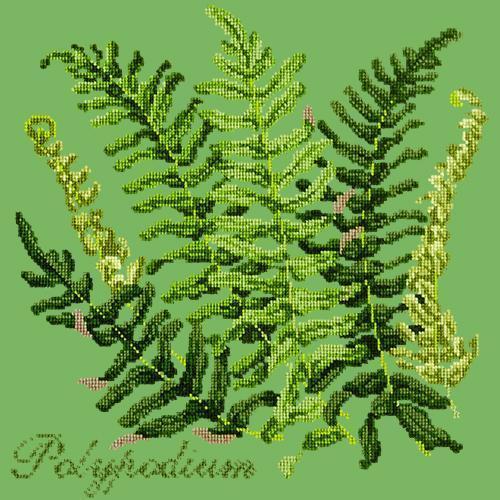 Polypodium Needlepoint Kit Elizabeth Bradley Design Grass Green 