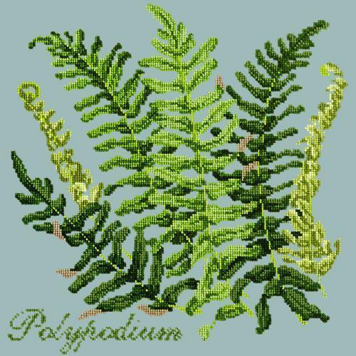 Polypodium Needlepoint Kit Elizabeth Bradley Design Pale Blue 