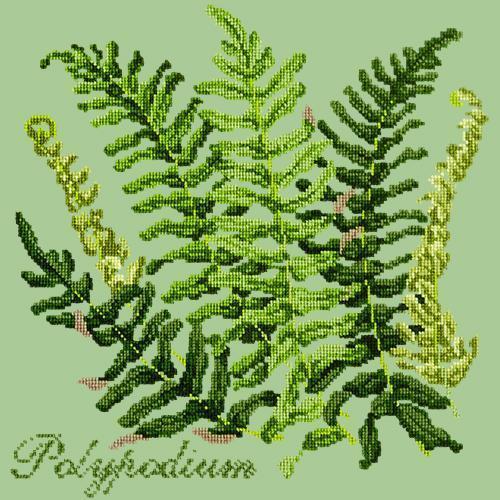 Polypodium Needlepoint Kit Elizabeth Bradley Design Pale Green 