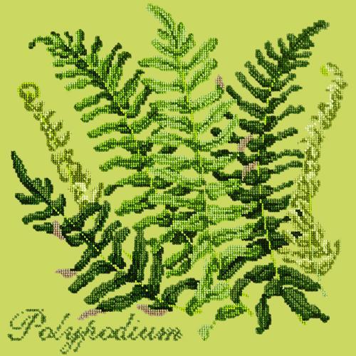 Polypodium Needlepoint Kit Elizabeth Bradley Design Pale Lime 