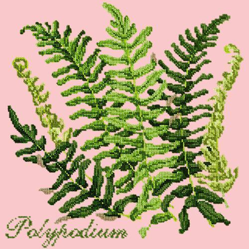 Polypodium Needlepoint Kit Elizabeth Bradley Design Pale Rose 