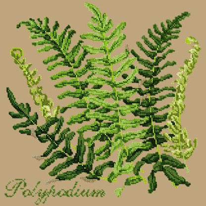 Polypodium Needlepoint Kit Elizabeth Bradley Design Sand 