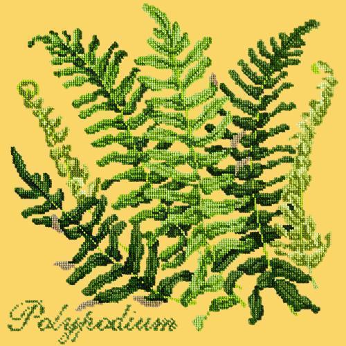 Polypodium Needlepoint Kit Elizabeth Bradley Design Sunflower Yellow 