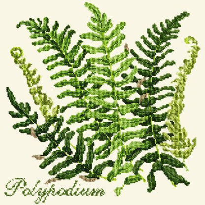 Polypodium Needlepoint Kit Elizabeth Bradley Design Winter White 