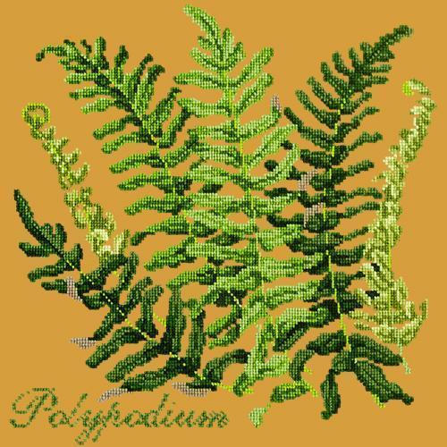 Polypodium Needlepoint Kit Elizabeth Bradley Design Yellow 