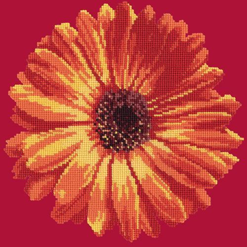 Pot Marigold Needlepoint Kit Elizabeth Bradley Design Bright Red 