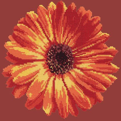 Pot Marigold Needlepoint Kit Elizabeth Bradley Design Dark Red 