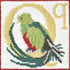 Q-Quetzal