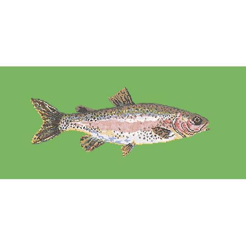 Rainbow Trout Needlepoint Kit Elizabeth Bradley Design Grass Green 