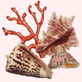 Red Coral Needlepoint Kit Elizabeth Bradley Design Cream 