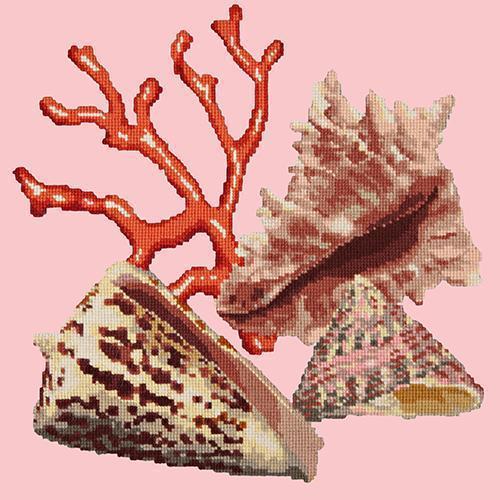 Red Coral Needlepoint Kit Elizabeth Bradley Design Pale Rose 