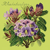Rhododendron Needlepoint Kit Elizabeth Bradley Design Pale Lime 