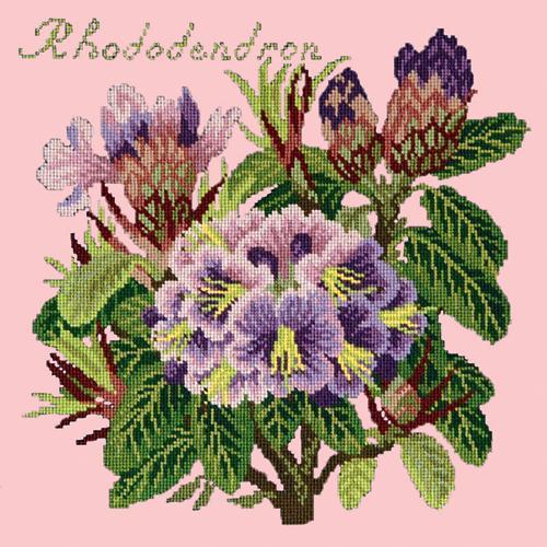 Rhododendron Needlepoint Kit Elizabeth Bradley Design Pale Rose 