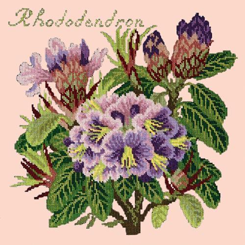 Rhododendron Needlepoint Kit Elizabeth Bradley Design Salmon Pink 