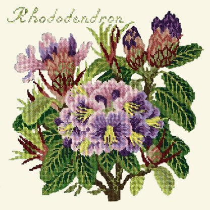 Rhododendron Needlepoint Kit Elizabeth Bradley Design Winter White 