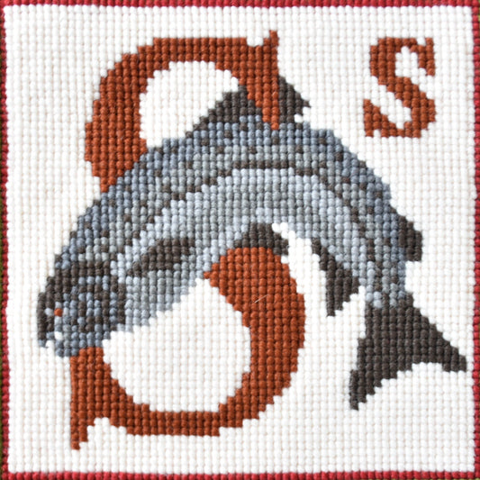 S-Salmon Needlepoint Kit Elizabeth Bradley Design 