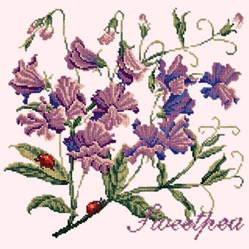 Sweetpea Needlepoint Kit Elizabeth Bradley Design 