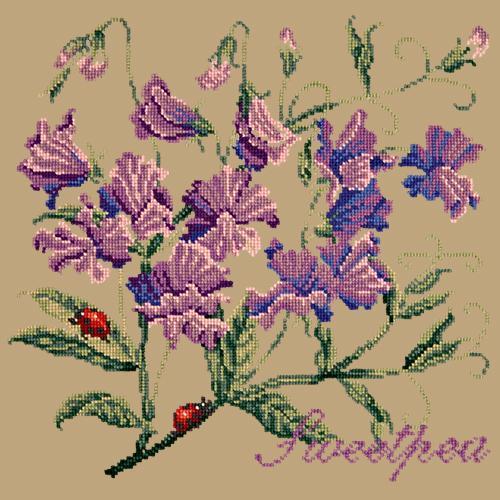 Sweetpea Needlepoint Kit Elizabeth Bradley Design Sand 