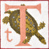 T-Terrapin