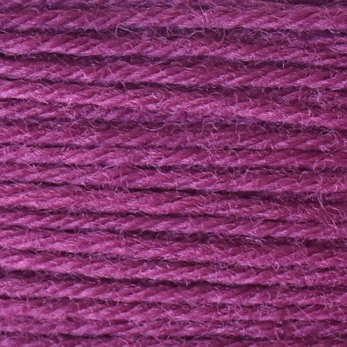 Tapestry Wool Colour 455