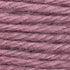 Tapestry Wool Colour 511
