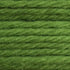 Tapestry Wool Colour 762