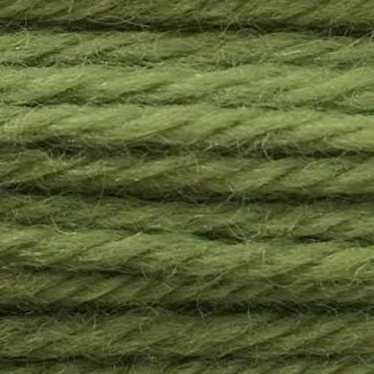 Tapestry Wool Colour 772 Tapestry Wool Elizabeth Bradley Design 