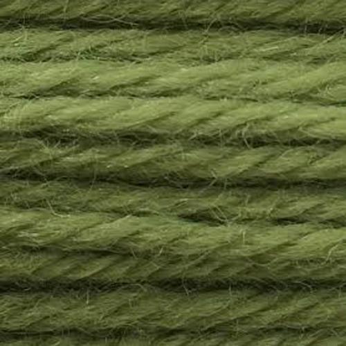 Tapestry Wool Colour 772