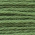 Tapestry Wool Colour 801