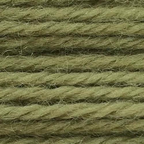 Tapestry Wool Colour 813