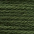 Tapestry Wool Colour 815