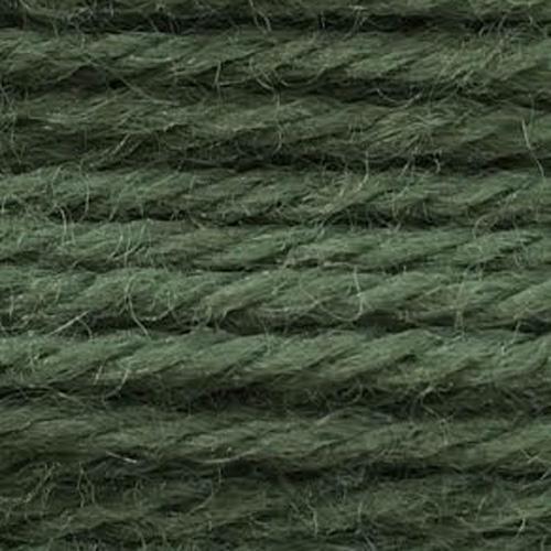 Tapestry Wool Colour 823