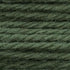 Tapestry Wool Colour 823