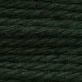 Tapestry Wool Colour 825 Tapestry Wool Elizabeth Bradley Design 