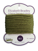 Tapestry Wool Colour 853 Tapestry Wool Elizabeth Bradley Design 