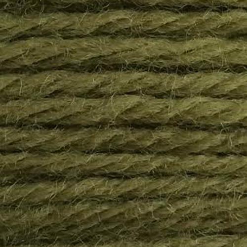 Tapestry Wool Colour 853