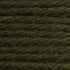 Tapestry Wool Colour 855