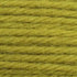 Tapestry Wool Colour 862
