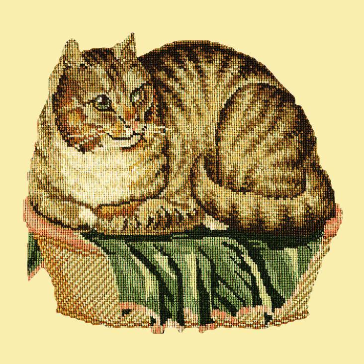 The Contented Cat Needlepoint Kit Elizabeth Bradley Design Butter Yellow 