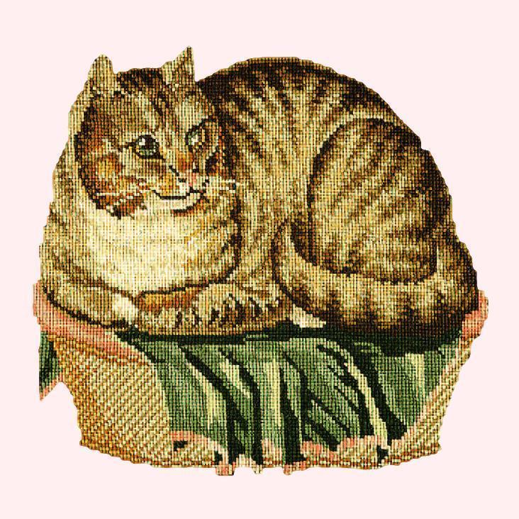 The Contented Cat Needlepoint Kit Elizabeth Bradley Design Cream 