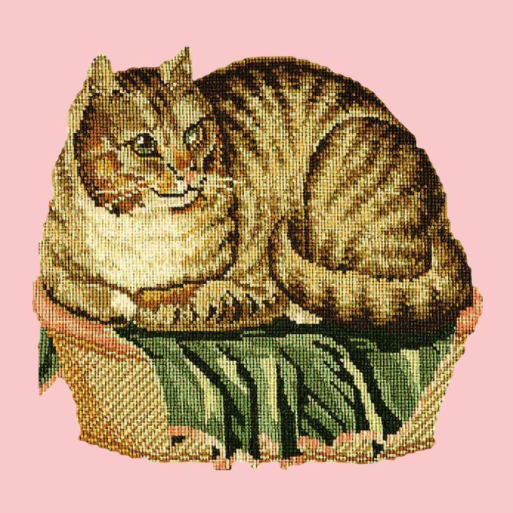 The Contented Cat Needlepoint Kit Elizabeth Bradley Design Pale Rose 