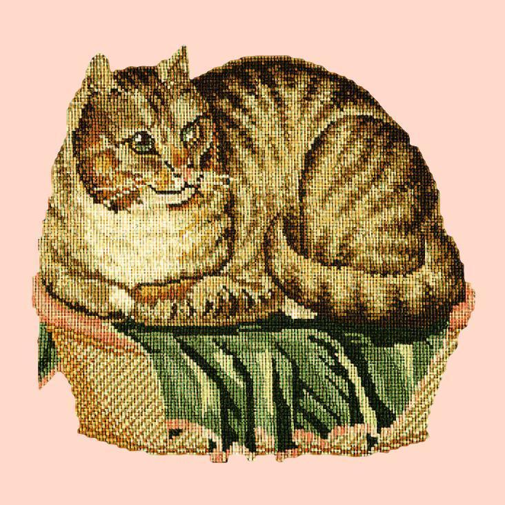 The Contented Cat Needlepoint Kit Elizabeth Bradley Design Salmon Pink 