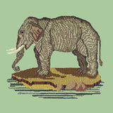 The Elephant Needlepoint Kit Elizabeth Bradley Design Pale Green 
