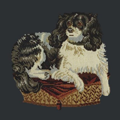 The King Charles Spaniel Needlepoint Kit Elizabeth Bradley Design Black 