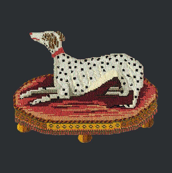 The Spotted Dog Needlepoint Kit Elizabeth Bradley Design 