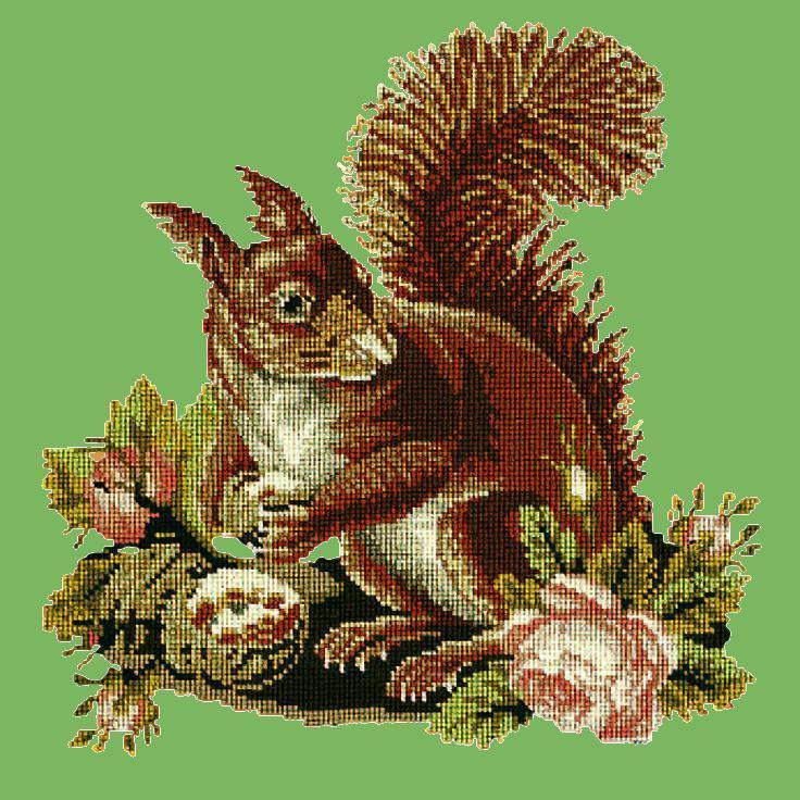 The Squirrel Needlepoint Kit Elizabeth Bradley Design Grass Green 