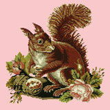 The Squirrel Needlepoint Kit Elizabeth Bradley Design Pale Rose 